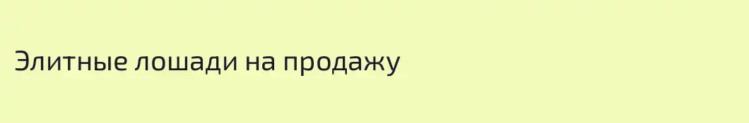 Элитные лошади на продажу